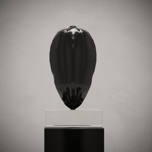 seed